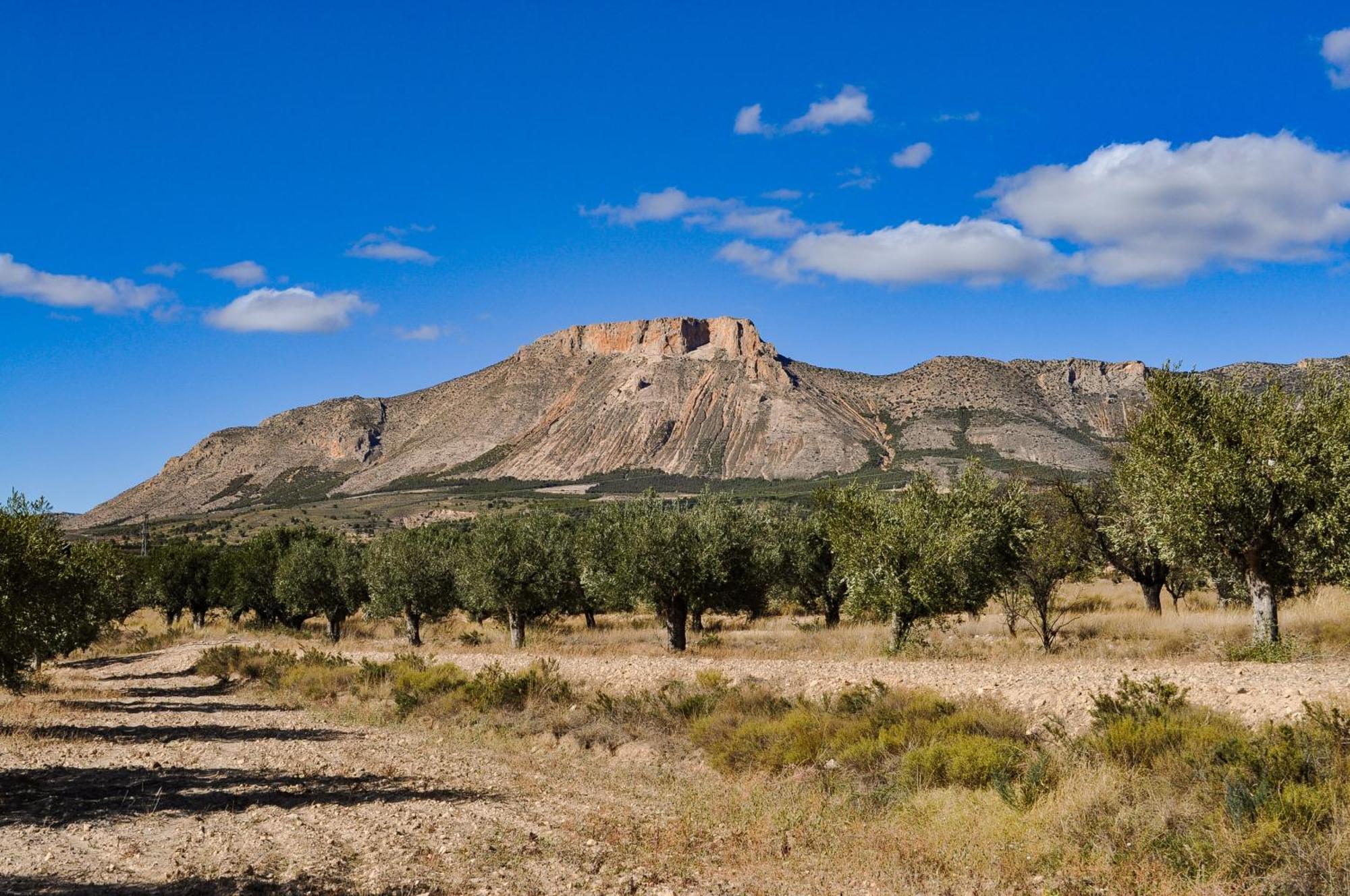 Casa La Sorpresa Villa La Ermita Bagian luar foto