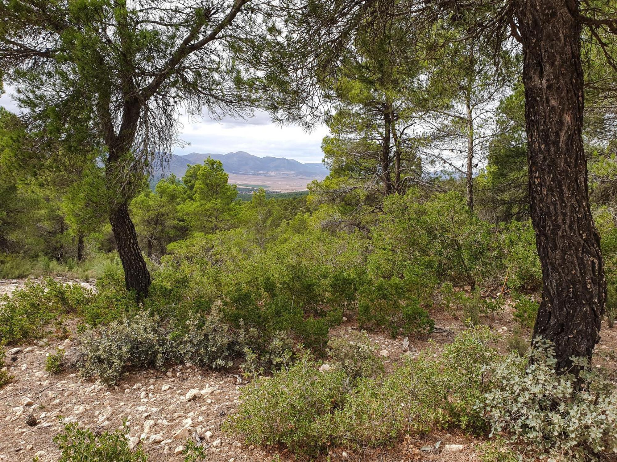 Casa La Sorpresa Villa La Ermita Bagian luar foto